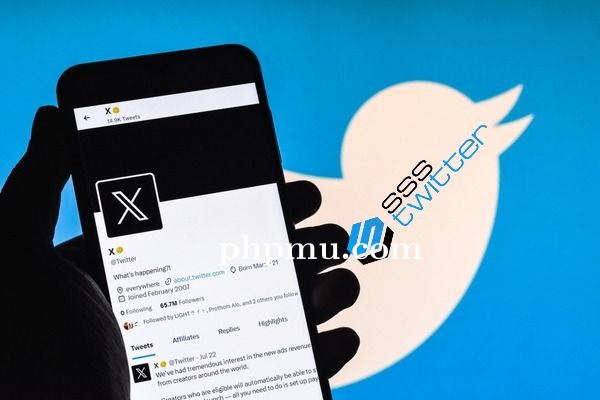 SSSTwitter, Tutorial Download Video X untuk Pemula
