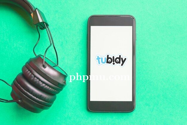 Panduan Aman Menggunakan Tubidy untuk Semua Perangkat